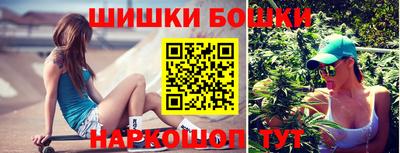 гидра Заводоуковск