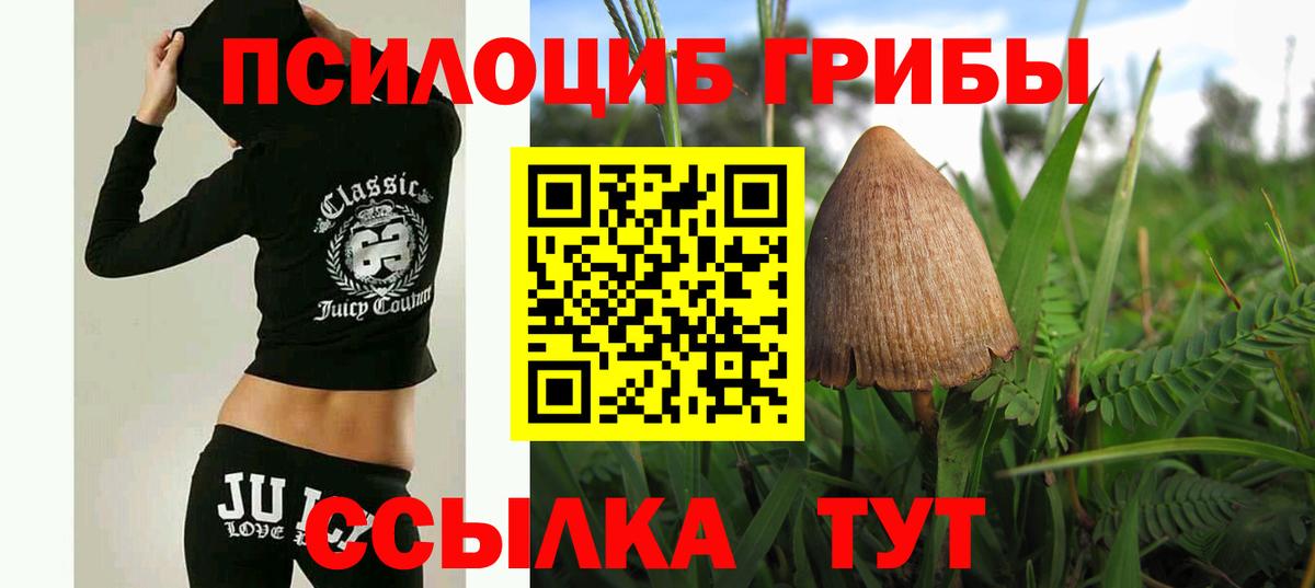 Ливны  Псилоцибиновые грибы ЛСД  Вход с VPN  как найти закладки  Галлюциногенные грибы прущие грибы 